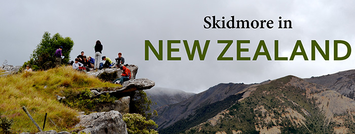 Skid NZ header Skid NZ header